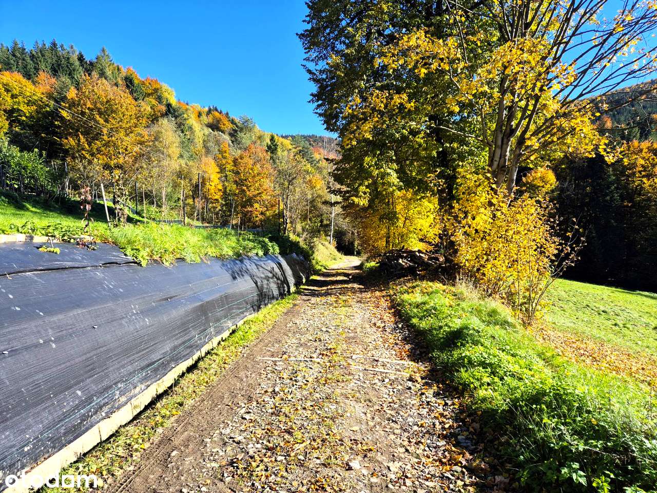 Widokowa działka z własnym lasem! - pod dom, domek weekendowy, domki-18