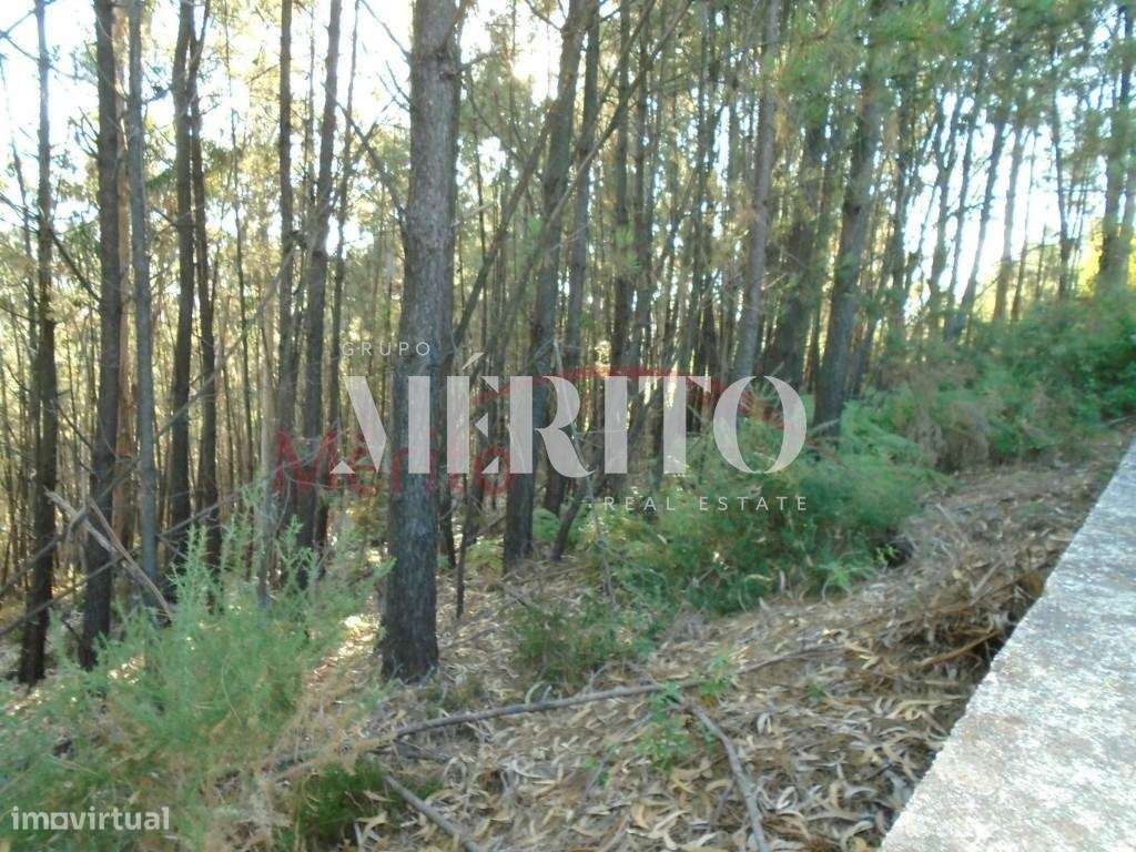 Venda Terreno - Grande imagem: 2/6