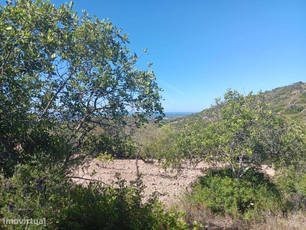 Terreno com ruína, vista mar, Santa Bárbara de Nexe, Faro, Algarve-22