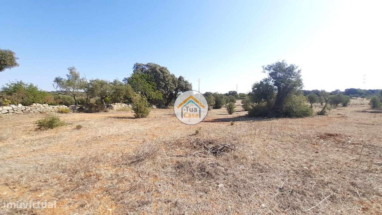 Terreno Rústico com 2,6Ha em Conceição e Estói - Grande imagem: 4/16