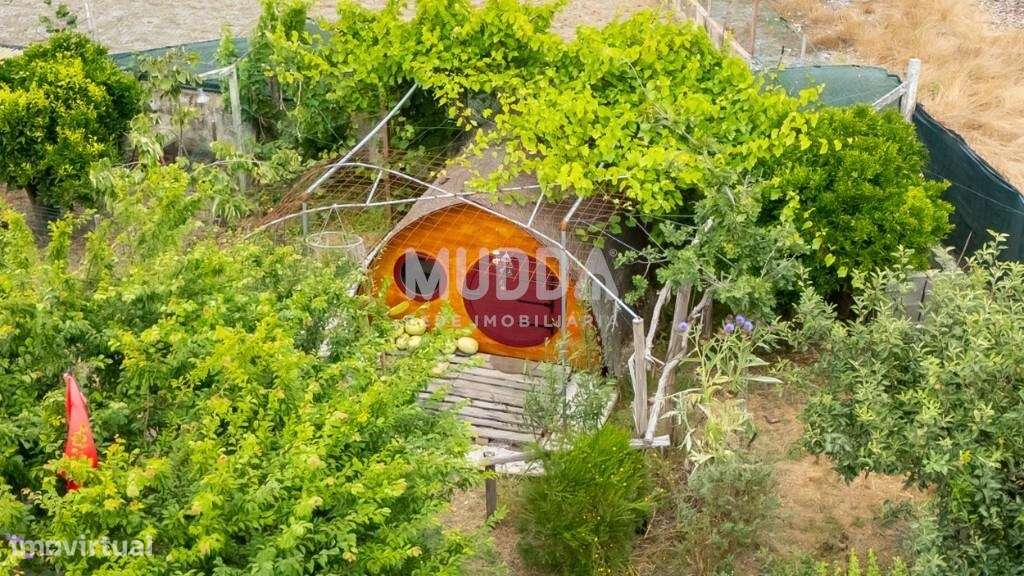 Moradia térrea T3 com anexos e terreno no Campo/Caldas da Rainha-25