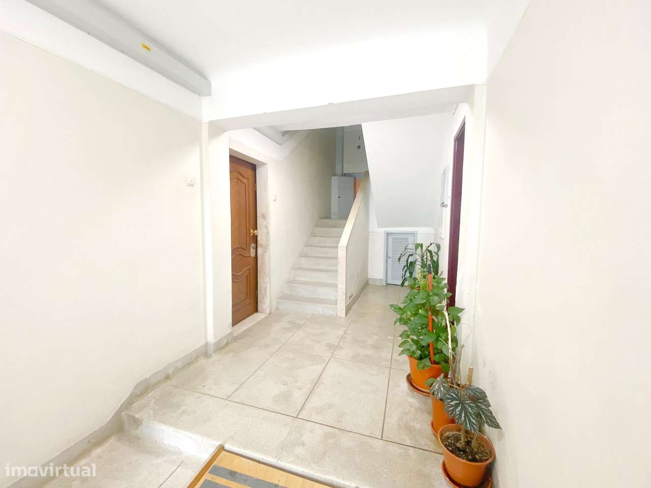 T2 para renovar em Benfica — oportunidade!-5