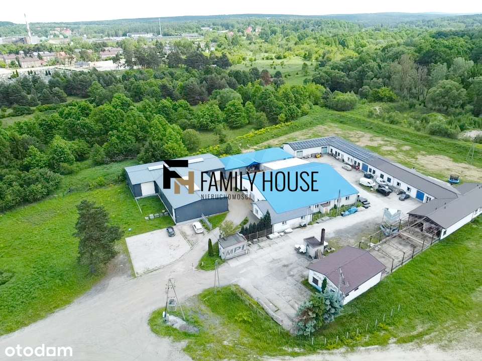 Hale 1884m2 działka 1,3ha przy trasie S7 - Pełny obrazek: 5/19