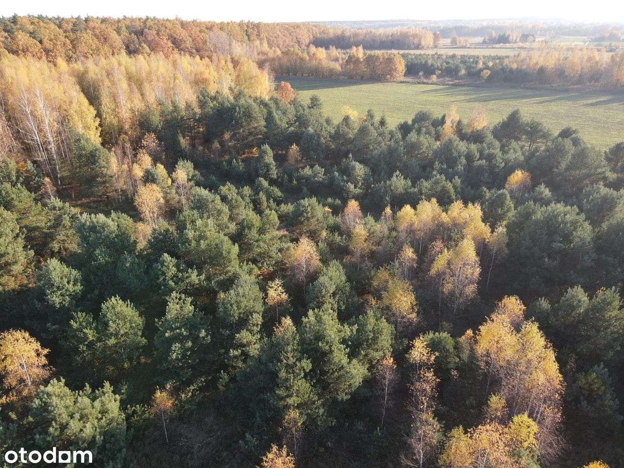 Działki budowlane przy Puszczy Białowieskiej! - Pełny obrazek: 4/19
