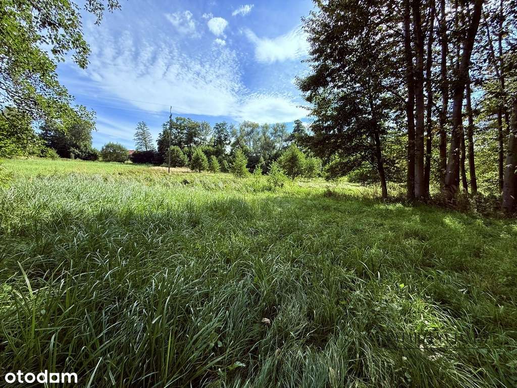 Atrakcyjna działka w m. Zalas, gmina Krzeszowice-11