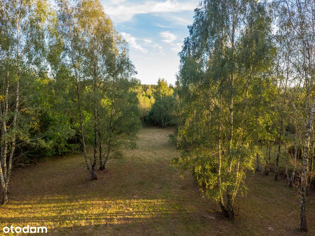 Malownicza działka budowlana w Parku Krajobrazowym - Pełny obrazek: 4/7