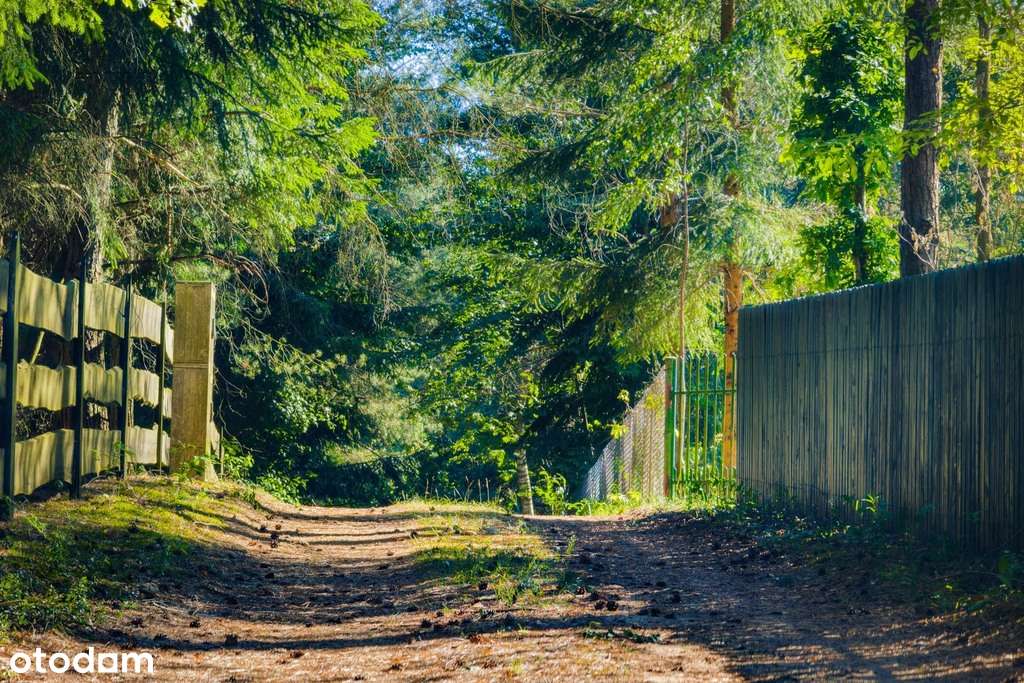 Malownicza działka w lesie + dostęp do jeziora!-4