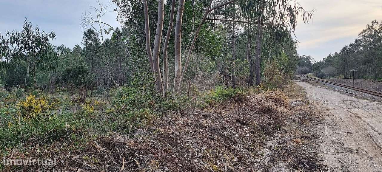 Terreno  para venda - Grande imagem: 4/6