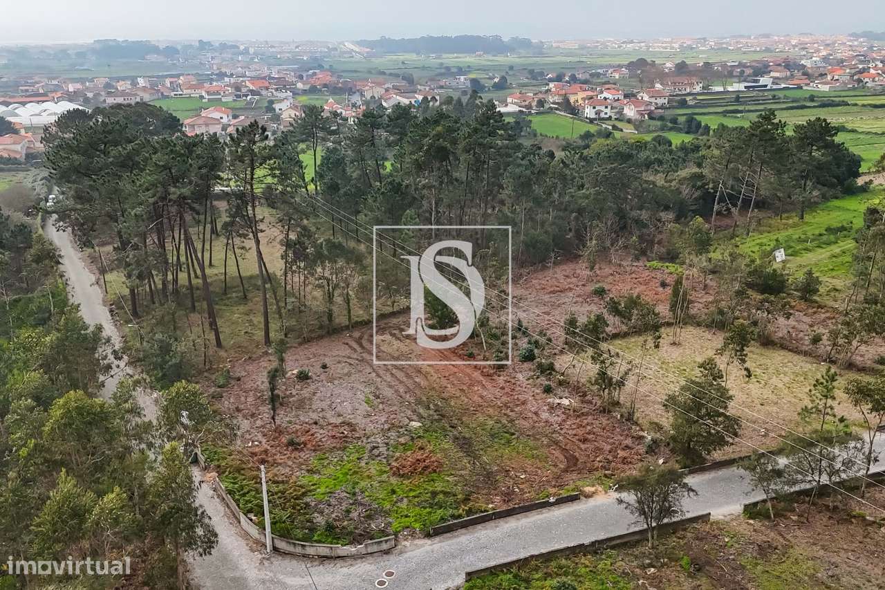 Terreno p/ construção com 3842 m² na Estrada Real - Grande imagem: 5/9