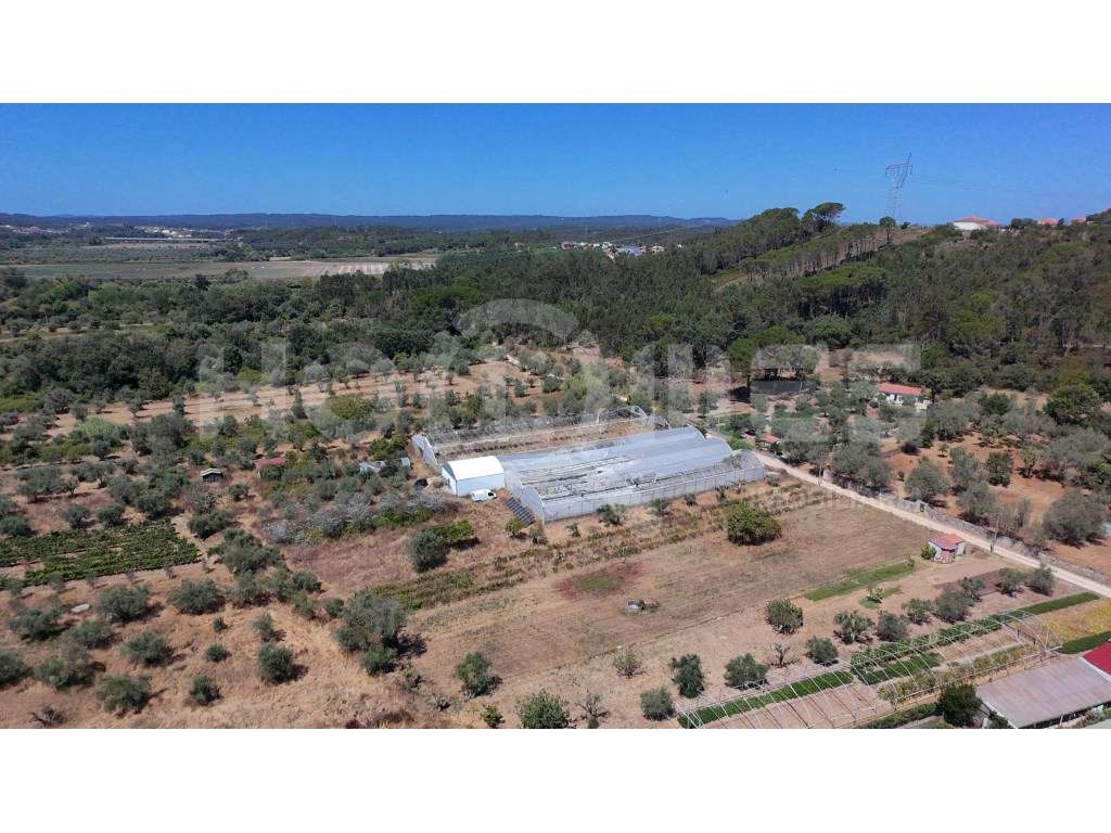 Terreno Agrícola com Estufas Preparadas para Produção em Hidroponia...-29