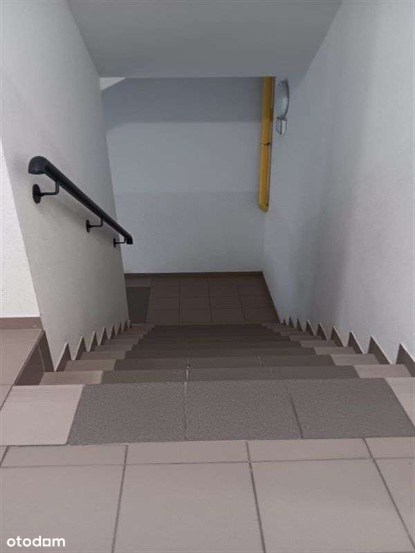 3Pokojowe Mieszkanie 1Piętro-Winda-11