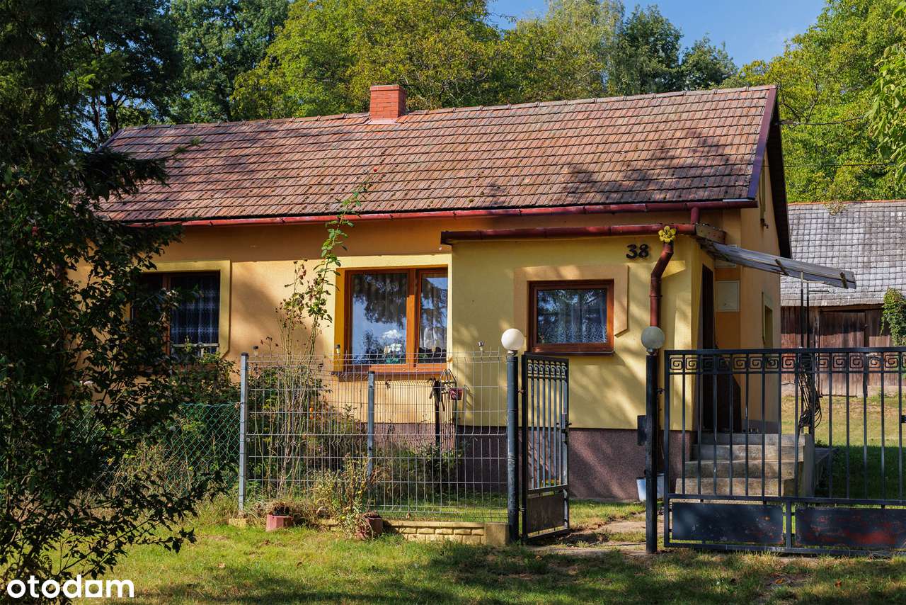 3M| DOM_osobna kuchnia_blisko lasu_stodoła| TYLKO U NAS!-12