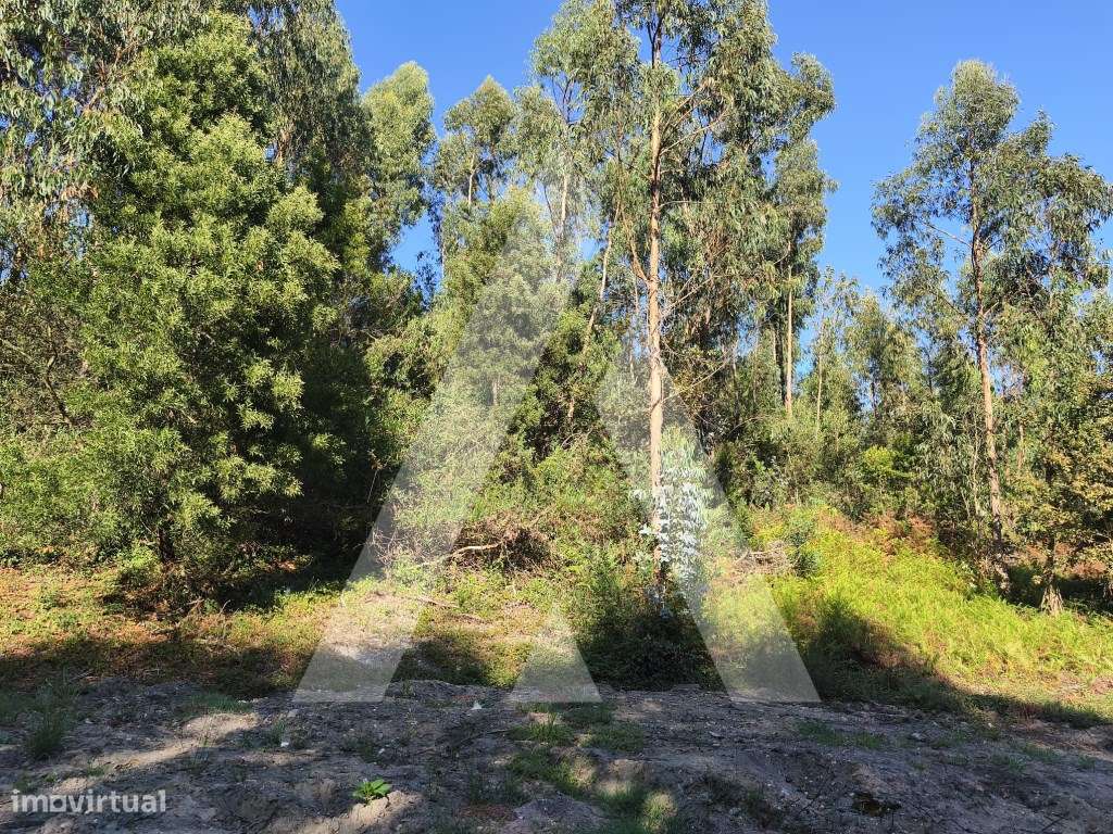 Terreno em Eixo - Grande imagem: 2/6