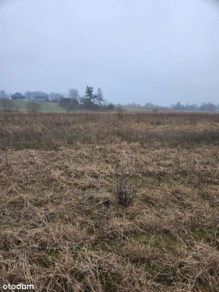 Działka budowlana Skorcz - Ryzowie-2
