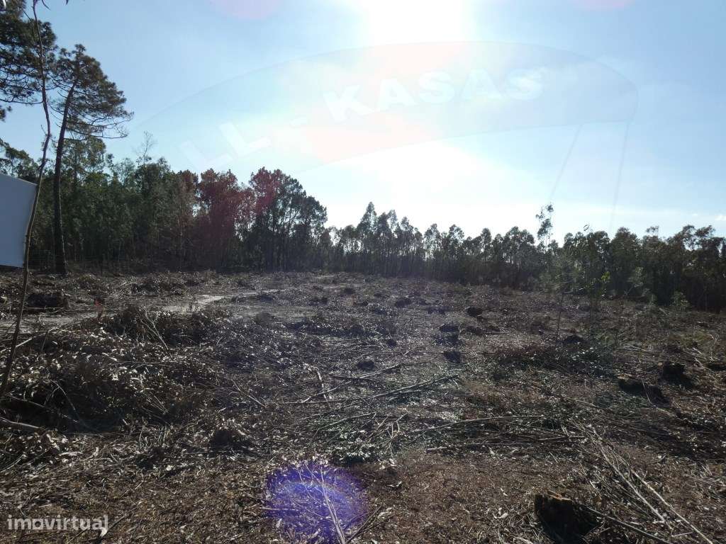 Terreno, Silveira, Cerca, Torres Vedras - Grande imagem: 5/12