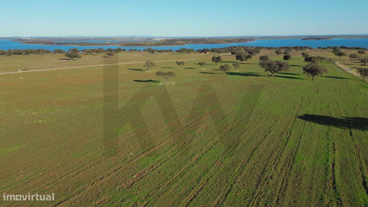 Herdade Exclusiva Junto à Barragem do Alqueva – Investimento Turístico-38