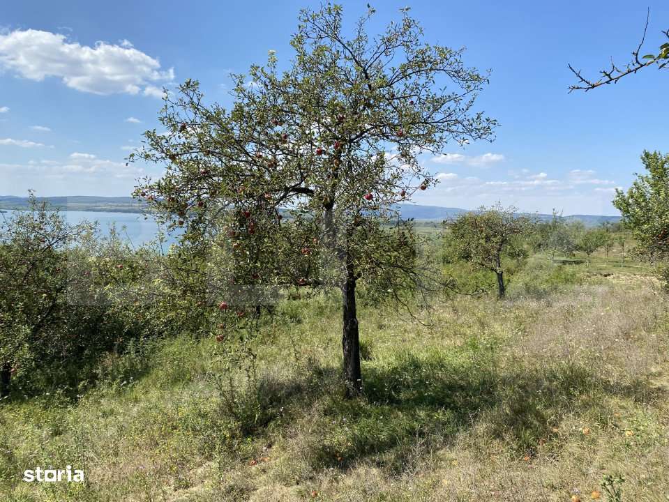 Teren extravilan in apropierea lacului Varsolt in suparfata de 3800 mp - Imagine principală: 4/7