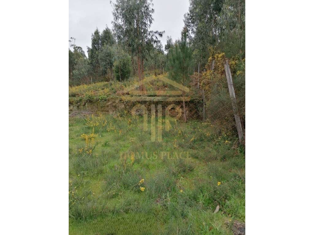 TERRENO URBANO P/CONSTRUÇÃO 1479 M2 | PENAFIEL - Grande imagem: 5/6