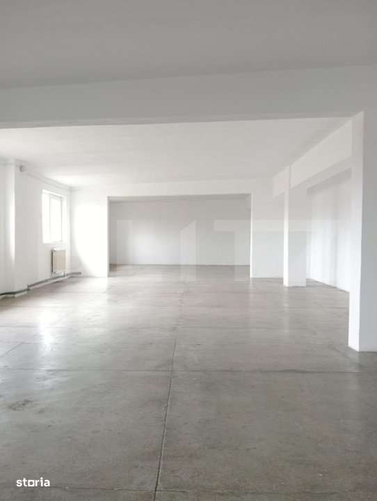 Spatiu industrial de inchiriat 1000mp depozitare sau productie ULMI - Imagine principală: 5/8