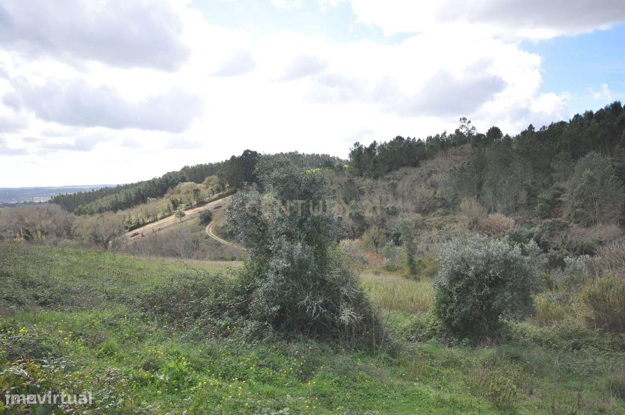 Terreno com Projeto Arquitetónico Aprovado para Quatro Moradias.-16