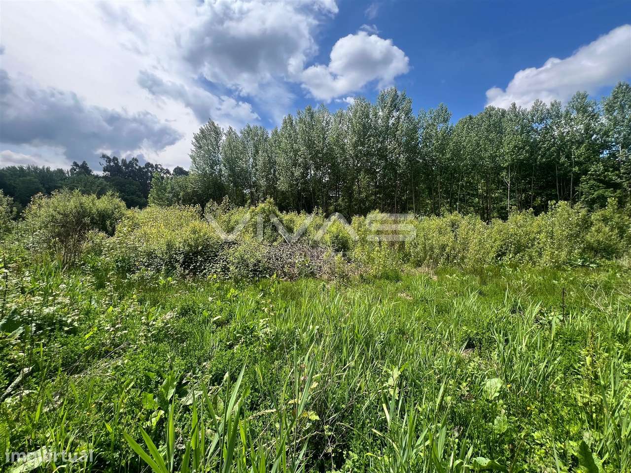 Terreno  Venda em Antime e Silvares (São Clemente),Fafe - Grande imagem: 4/6