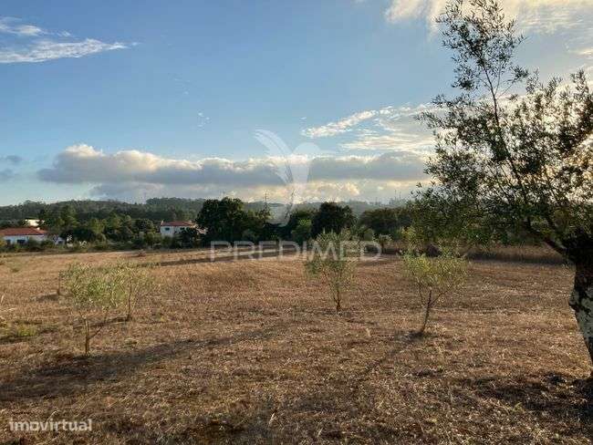 Terreno para construção em Aljustrel muito proximo a Fátima. - Grande imagem: 2/10