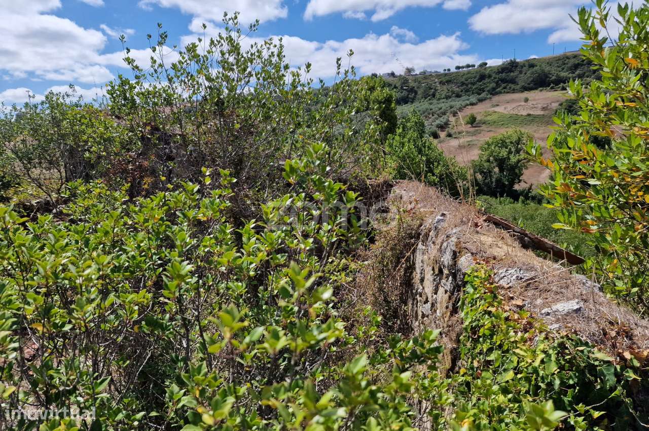 Ruina com terreno 11.878m2 vale da Talha Carvalhal Santarém - Grande imagem: 4/17