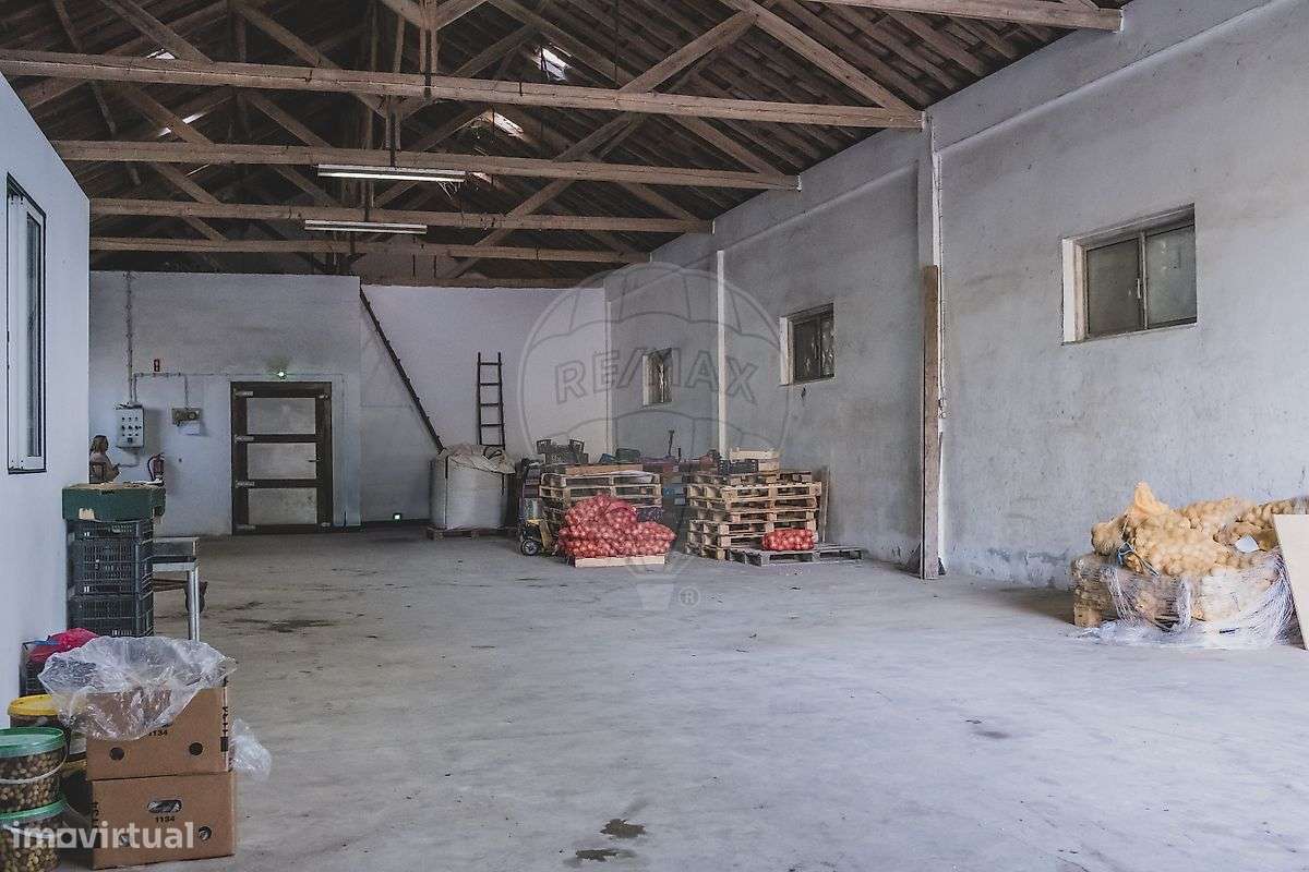 Armazém  para arrendamento - Grande imagem: 5/15