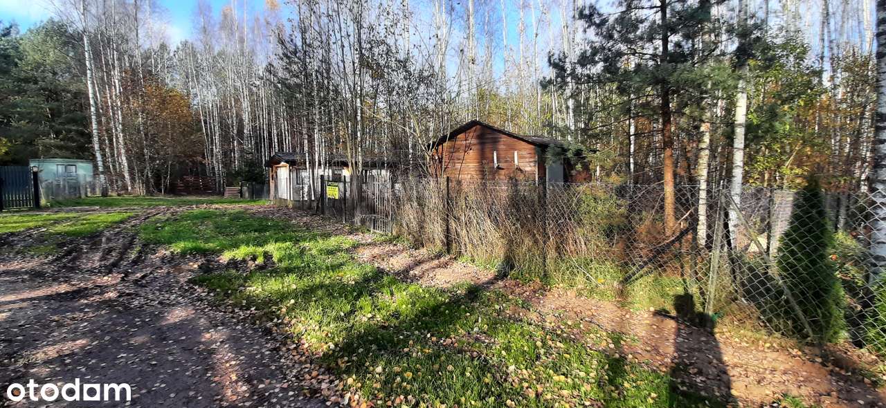 Piasutno. Działka rekreacyjna-17