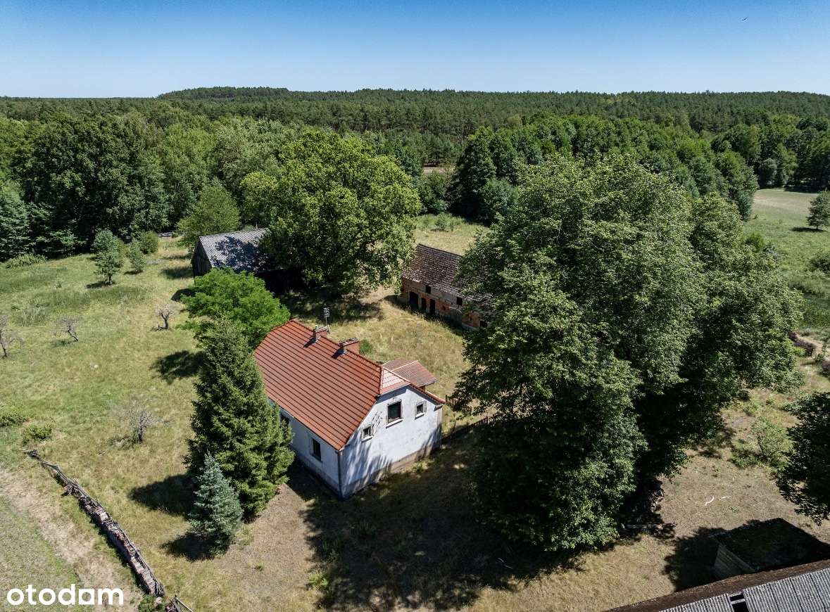 Działka siedliskowa - Pełny obrazek: 4/4