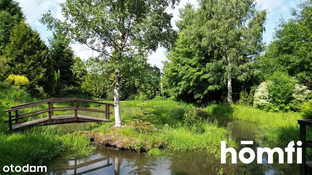 Dom i ogród marzeń obok Polanicy / staw i strumień - Pełny obrazek: 5/13