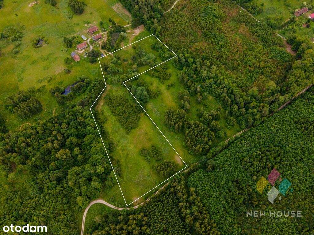 Działka w enklawie śródleśnej, możliwość zabudowy - Pełny obrazek: 4/6