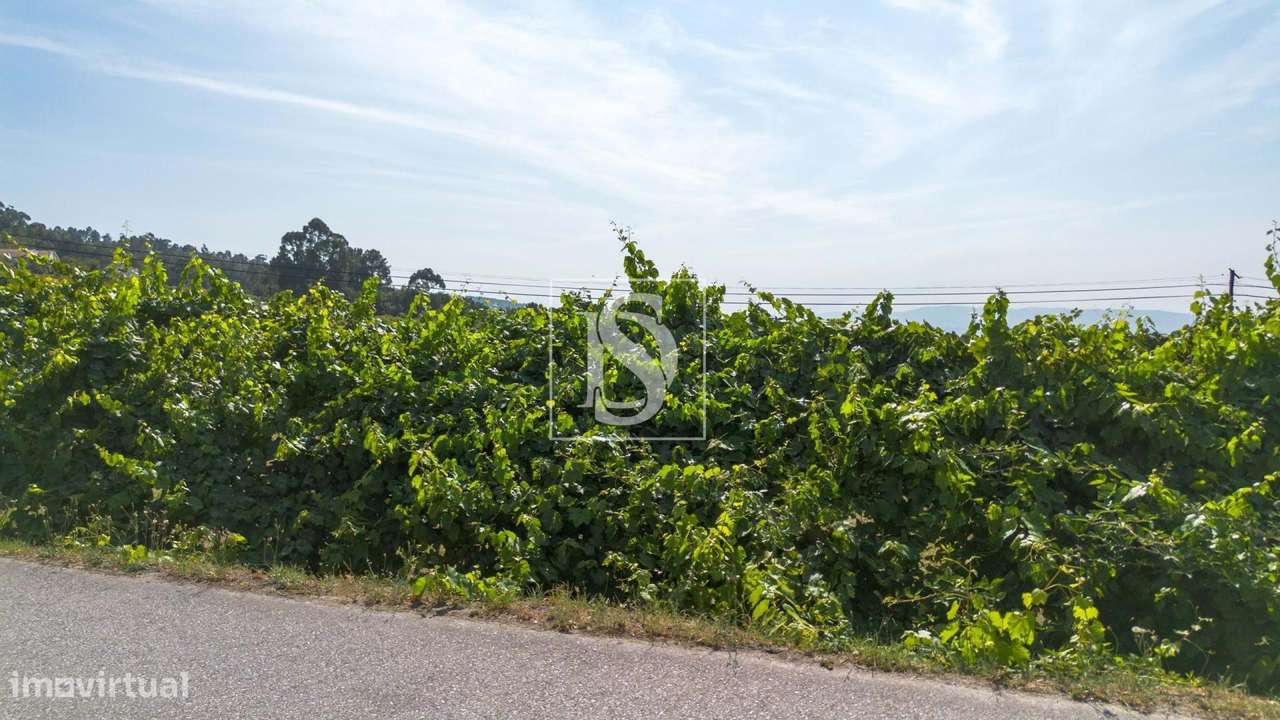 Terreno para construção S. Simão Amarante - Grande imagem: 3/25