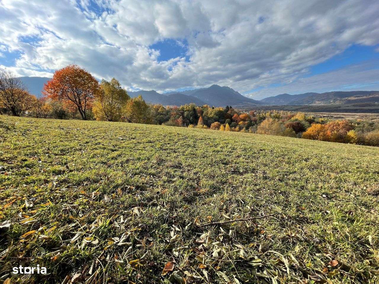 Teren intravilan 500 mp in Zarnesti-Tohanita la 5 km de Plaiul Foii-7