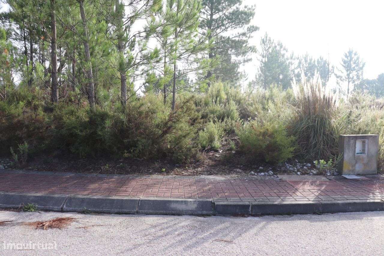 Lote - Grande imagem: 3/5