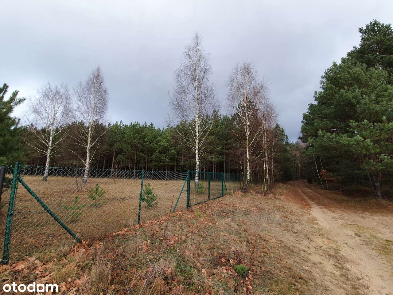 Działka z pozw. na budowę, projekt Inovia, j. Białe-1