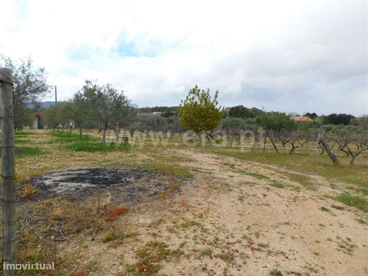 Terreno / Fundão, Póvoa da Atalaia - Grande imagem: 3/11