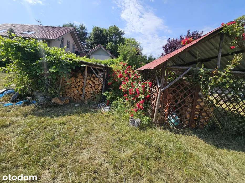 Dom 130m2 wraz dzialką 1700m2 z dużym potencjalem 10 km od Szczecina - Pełny obrazek: 5/5