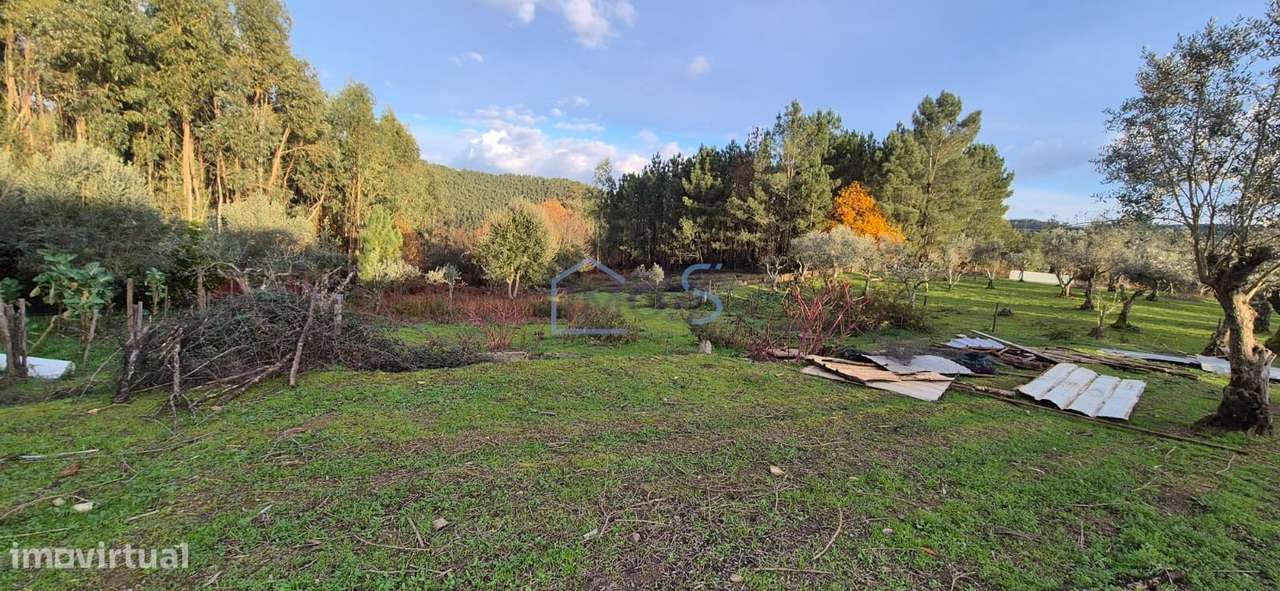 Moradia T2 para Recuperar com Terreno de 4.080 m² | Ferreira do Zêzere-29