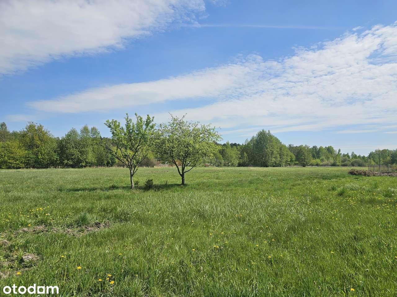 Piękne działki. Uchwalony plan. Obok szkoły, przystanku. Cisza, zieleń-6