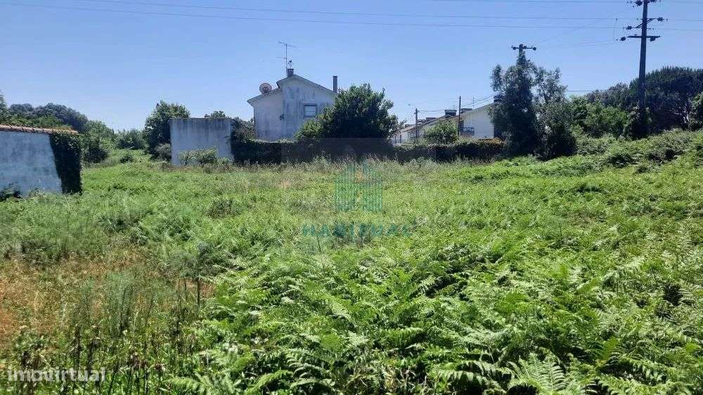 TERRENO EM SANTA MARTA COM 1800 M2 - Grande imagem: 4/7