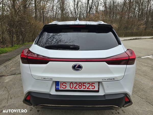 Lexus UX 200 F SPORT - 5