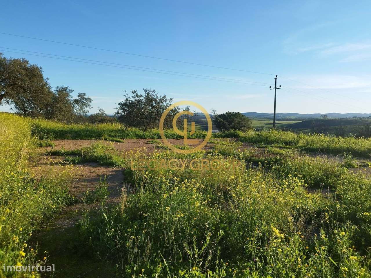 TERRENO COM 13.250M2 EM CABEÇA DE CARNEIRO - Grande imagem: 4/47
