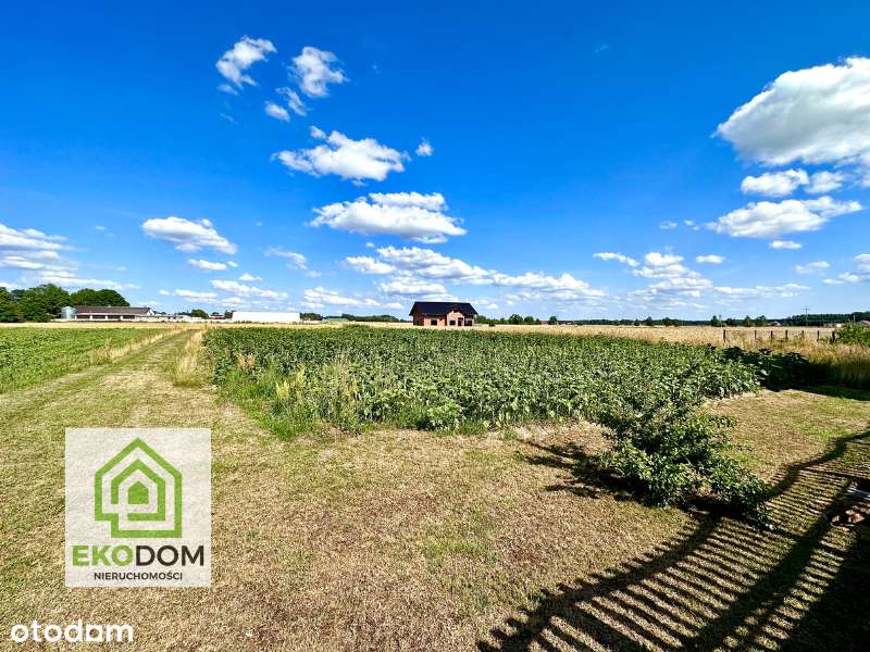 Dwie działki budowlane / Zborowskie - Pełny obrazek: 4/5