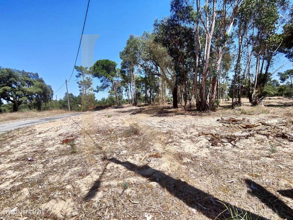 Venda conjunta de 105 lotes de terreno na Urbanização Pinhal de Neg...-15