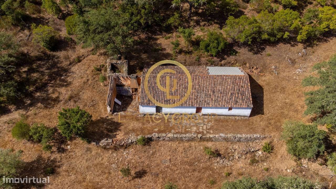 Quinta de 6 hectares perto de São Martinho das Amoreiras-28