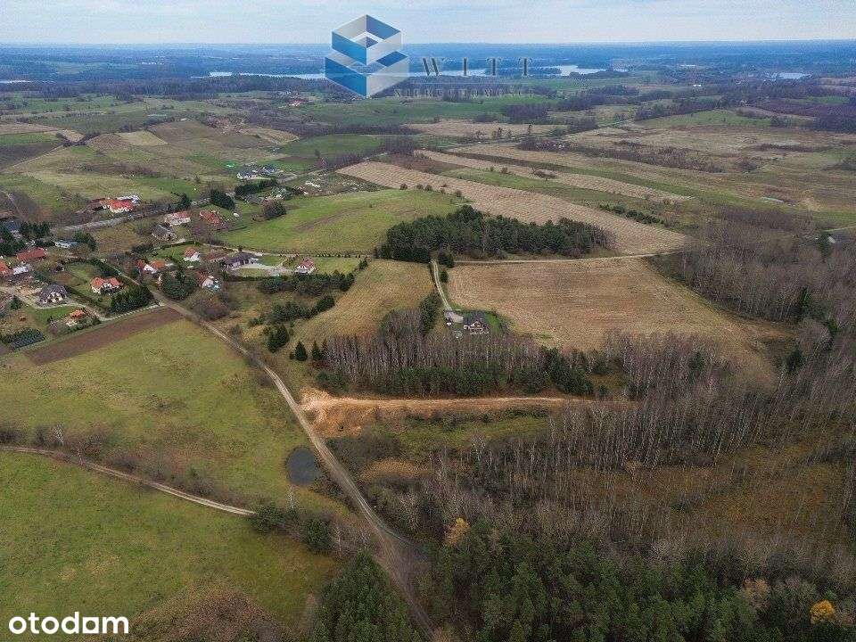 3 działki wybór w klimatycznym miejscu Florczaki - Pełny obrazek: 4/8