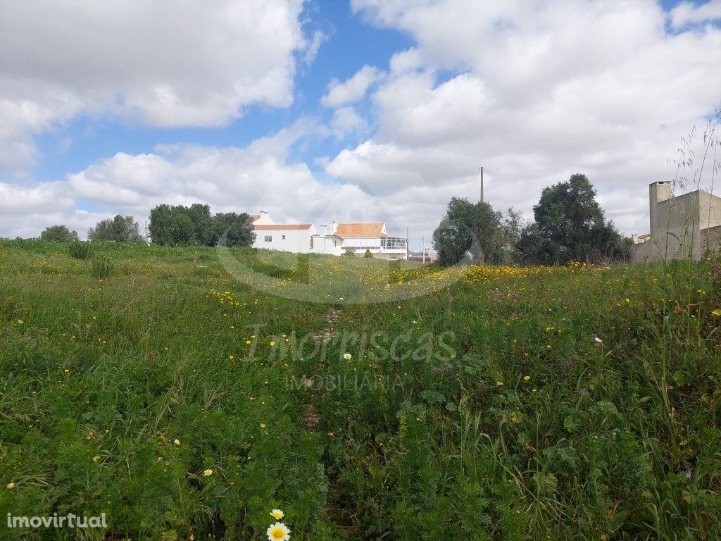 Terreno com 5000m2 em Vale de Figueira, São João da Talha