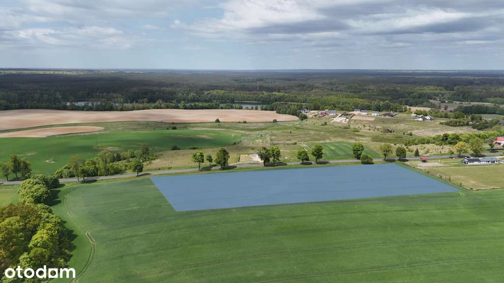 Grunt deweloperski/inwestycyjny – 2,5ha - Strączno - Pełny obrazek: 4/10