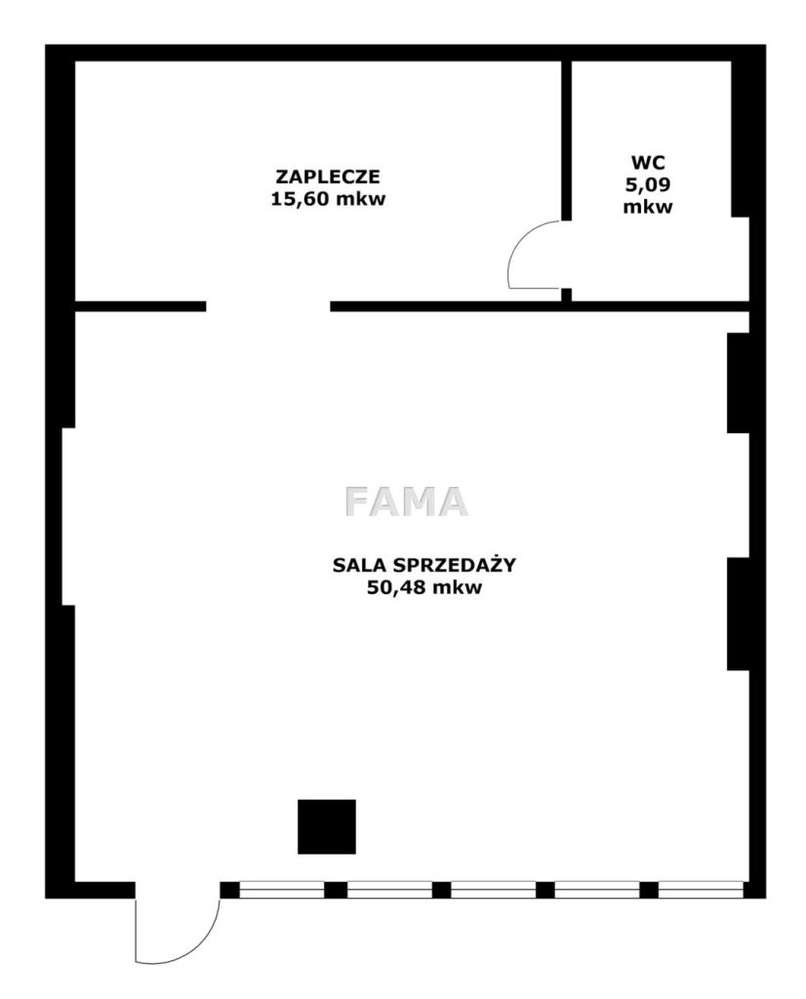 Lokal 71,17 mkw, K. Wielkiego, wys. 3,5 M - Pełny obrazek: 2/5